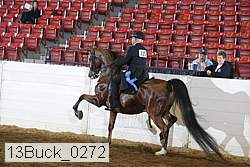13buck_0272 thumbnail