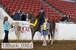 13buck_0302 thumbnail