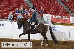 13buck_0321 thumbnail