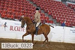 13buck_0323 thumbnail