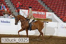 13buck_0325 thumbnail