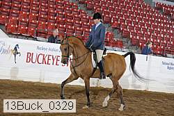 13buck_0329 thumbnail