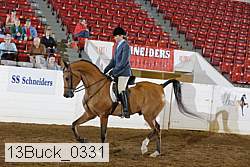13buck_0331 thumbnail