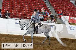 13buck_0333 thumbnail