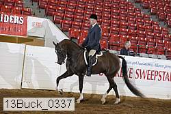 13buck_0337 thumbnail