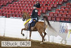 13buck_0426 thumbnail