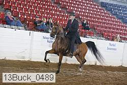 13buck_0489 thumbnail