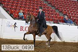 13buck_0490 thumbnail