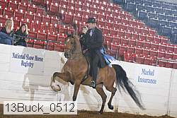 13buck_0512 thumbnail