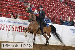 13buck_0513 thumbnail