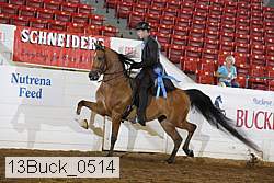 13buck_0514 thumbnail