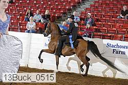 13buck_0515 thumbnail