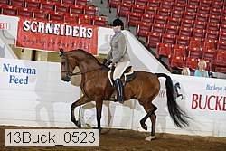 13buck_0523 thumbnail