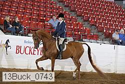 13buck_0743 thumbnail