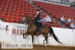 13buck_0814 thumbnail