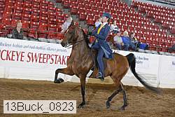 13buck_0823 thumbnail