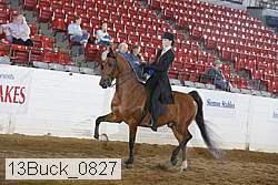 13buck_0827 thumbnail