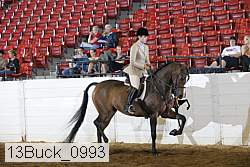 13buck_0993 thumbnail