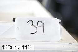 13buck_1101 thumbnail