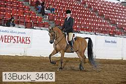 13buck_3403 thumbnail