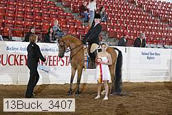 13buck_3407 thumbnail