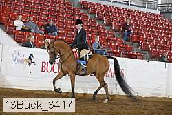 13buck_3417 thumbnail