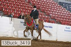 13buck_3419 thumbnail