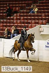 13buck_1149 thumbnail
