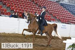 13buck_1191 thumbnail