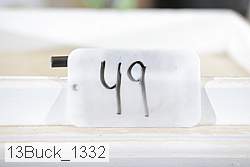 13buck_1332 thumbnail