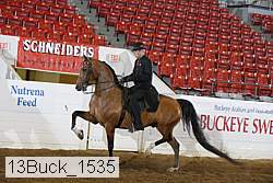 13buck_1535 thumbnail
