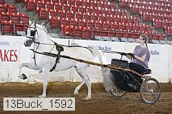 13buck_1592 thumbnail