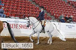 13buck_1650 thumbnail