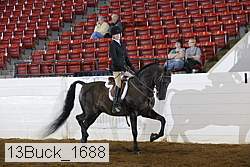 13buck_1688 thumbnail