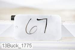 13buck_1775 thumbnail