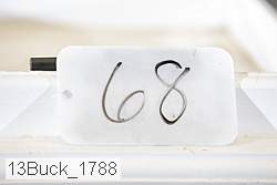 13buck_1788 thumbnail