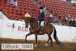 13buck_1848 thumbnail