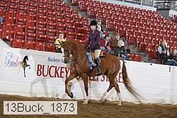 13buck_1873 thumbnail