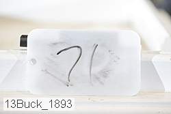 13buck_1893 thumbnail