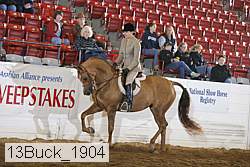 13buck_1904 thumbnail