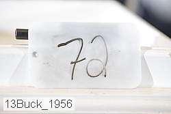 13buck_1956 thumbnail