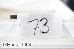 13buck_1964 thumbnail