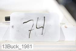 13buck_1981 thumbnail