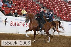 13buck_2003 thumbnail