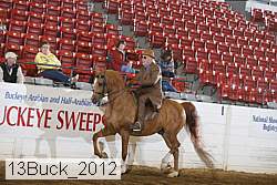 13buck_2012 thumbnail