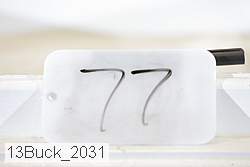 13buck_2031 thumbnail