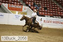 13buck_2056 thumbnail