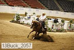 13buck_2057 thumbnail