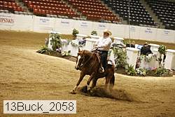 13buck_2058 thumbnail