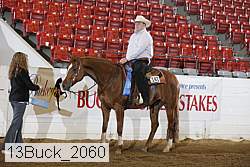 13buck_2060 thumbnail